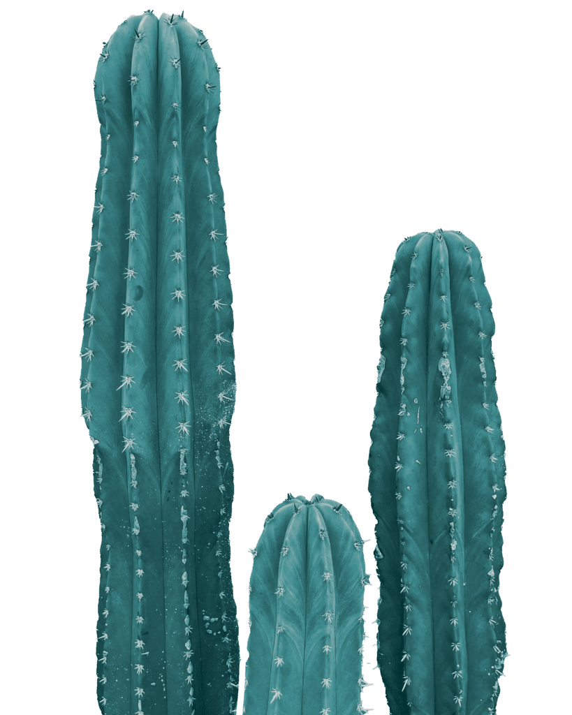 Teal Cacti