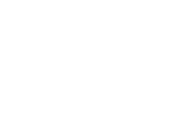 The Name Shops logo